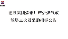 德胜集团炼钢厂转炉煤气放散塔点火器招标项目