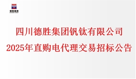 乐鱼官方网站2025年直购电代理交易招标文件