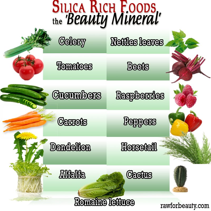silica food.jpg